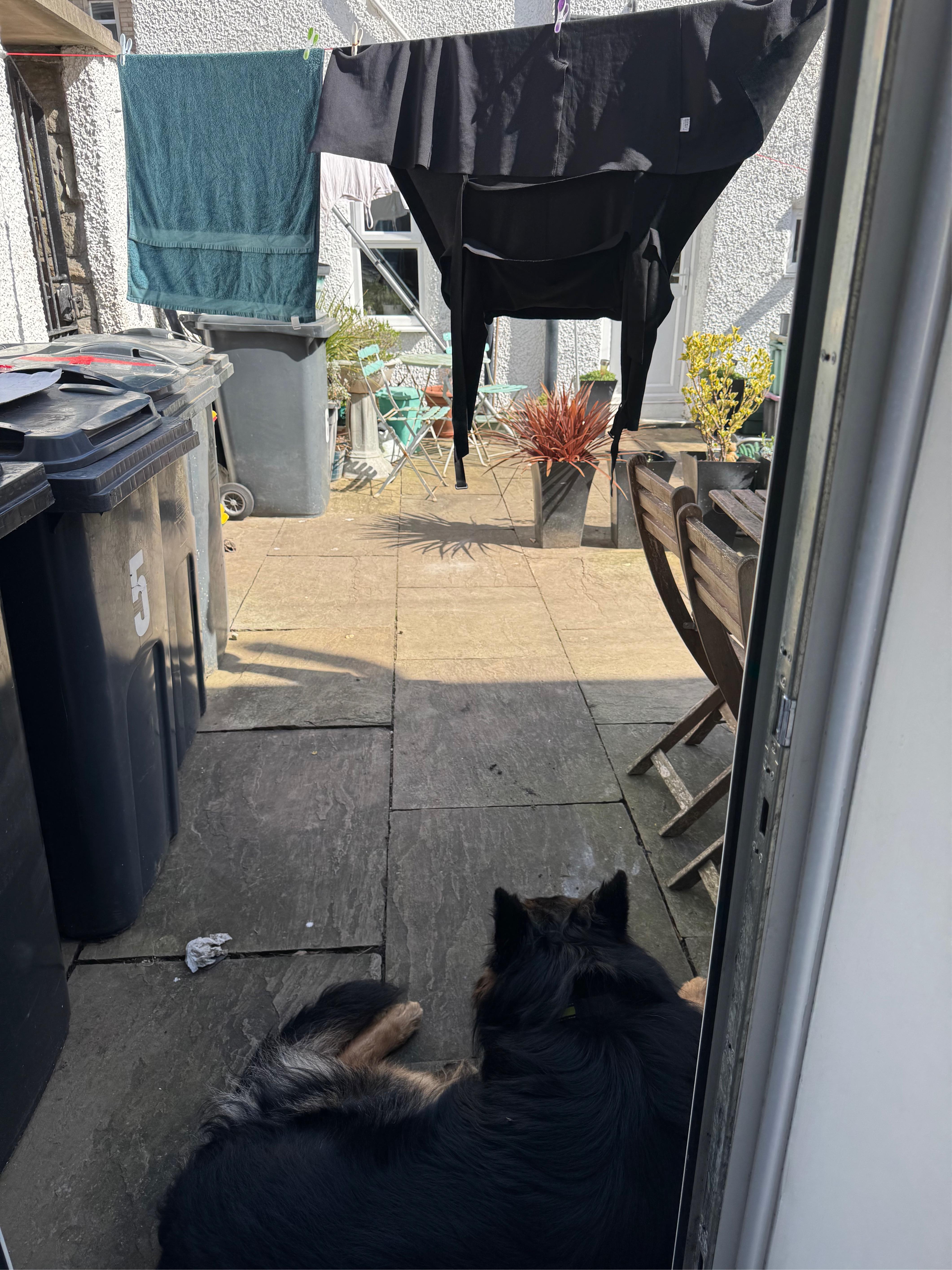 View from back door