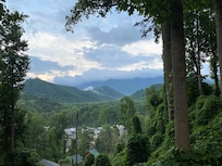 View from the driveway