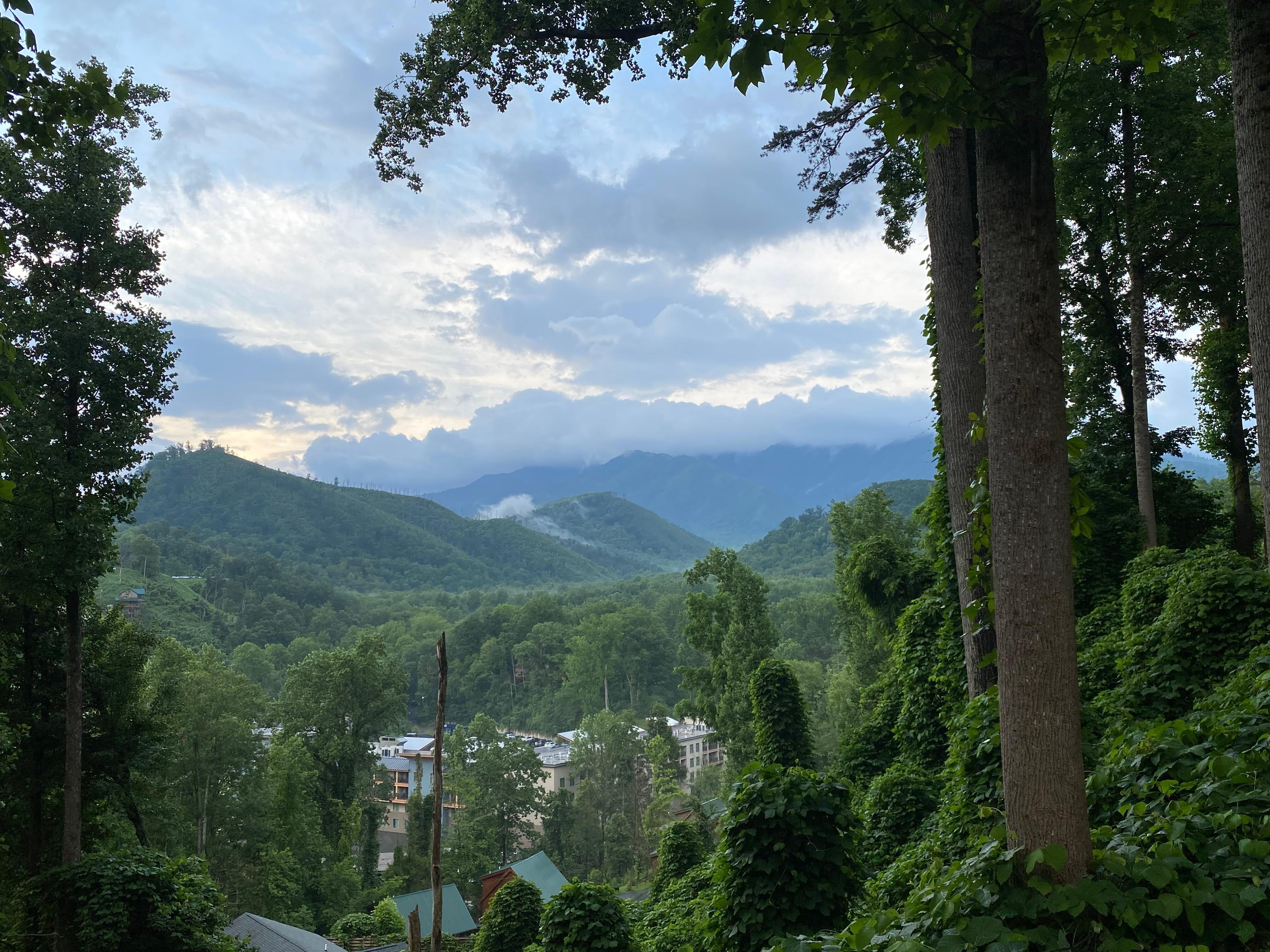 View from the driveway