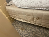 Moldy bed skirt and floor