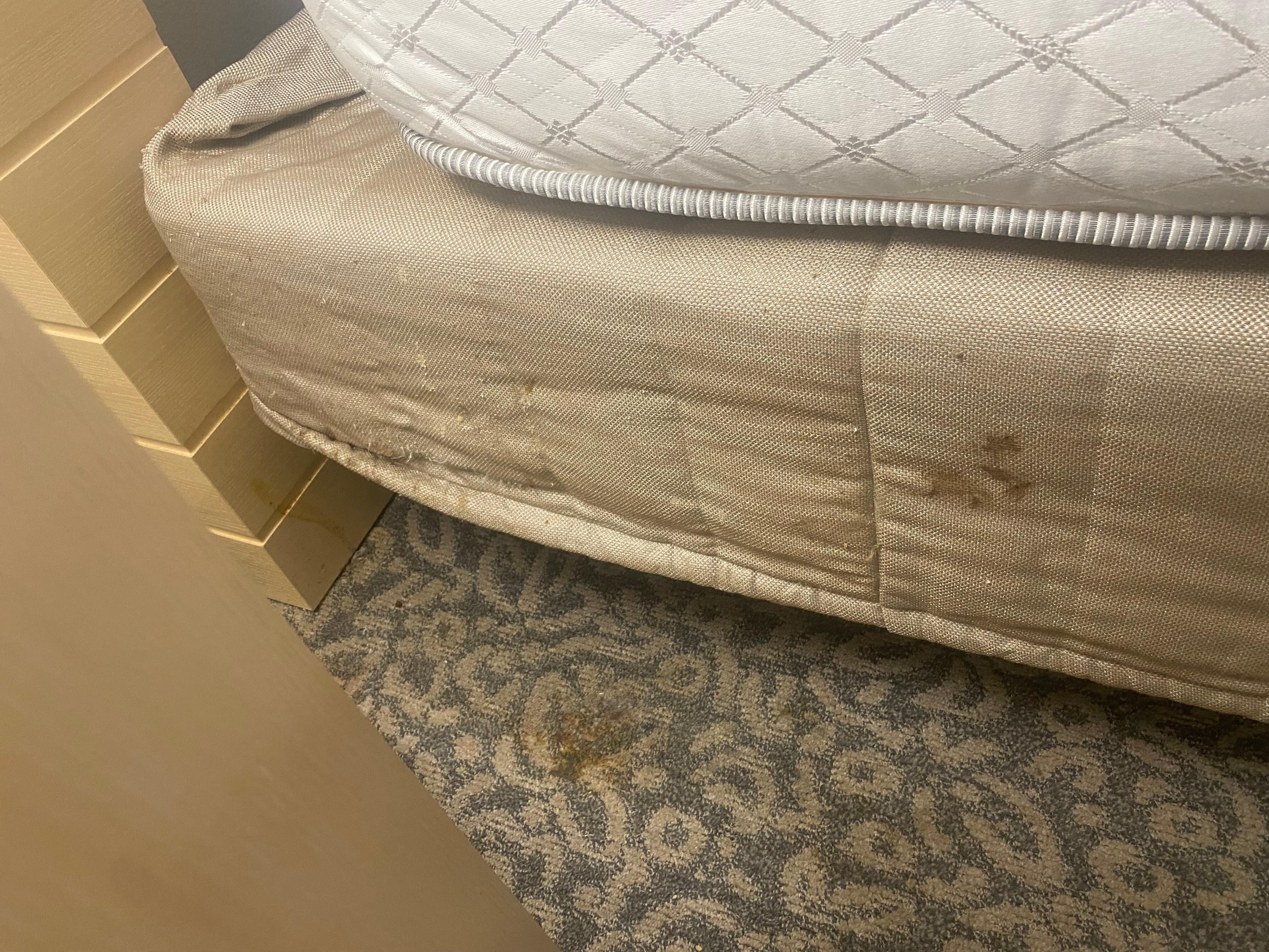 Moldy bed skirt and floor 