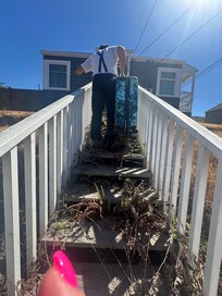 Thorny path to a front door you can’t enter