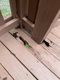 Looks dangerous to me!