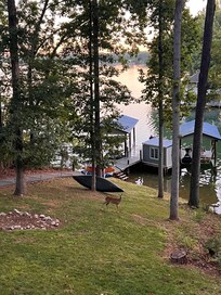 Deer were numerous, happy to walk through the yard even with people on the dock and the upstairs covered deck.
