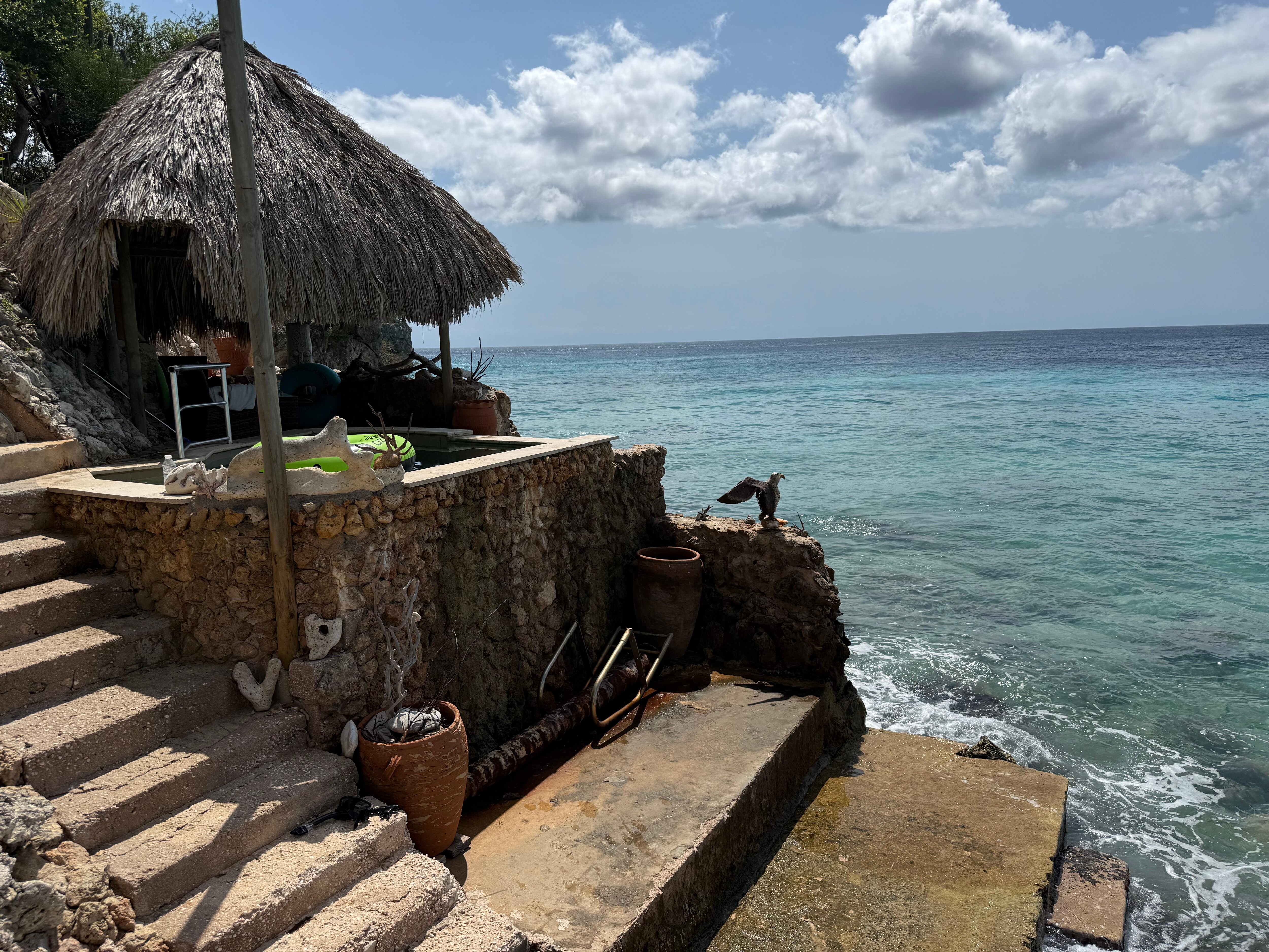 Pool and ocean access 