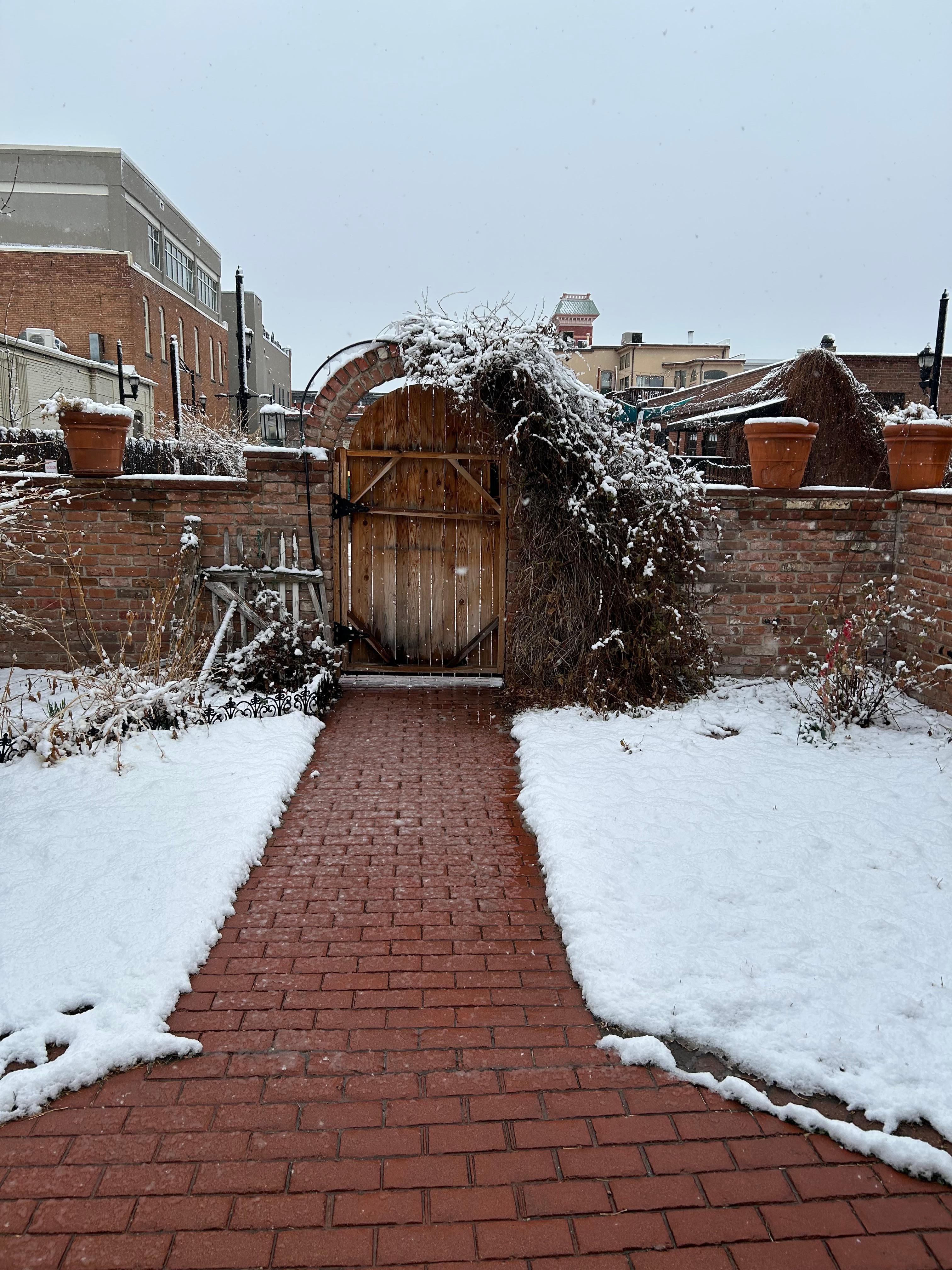 Snowy view from the front door 