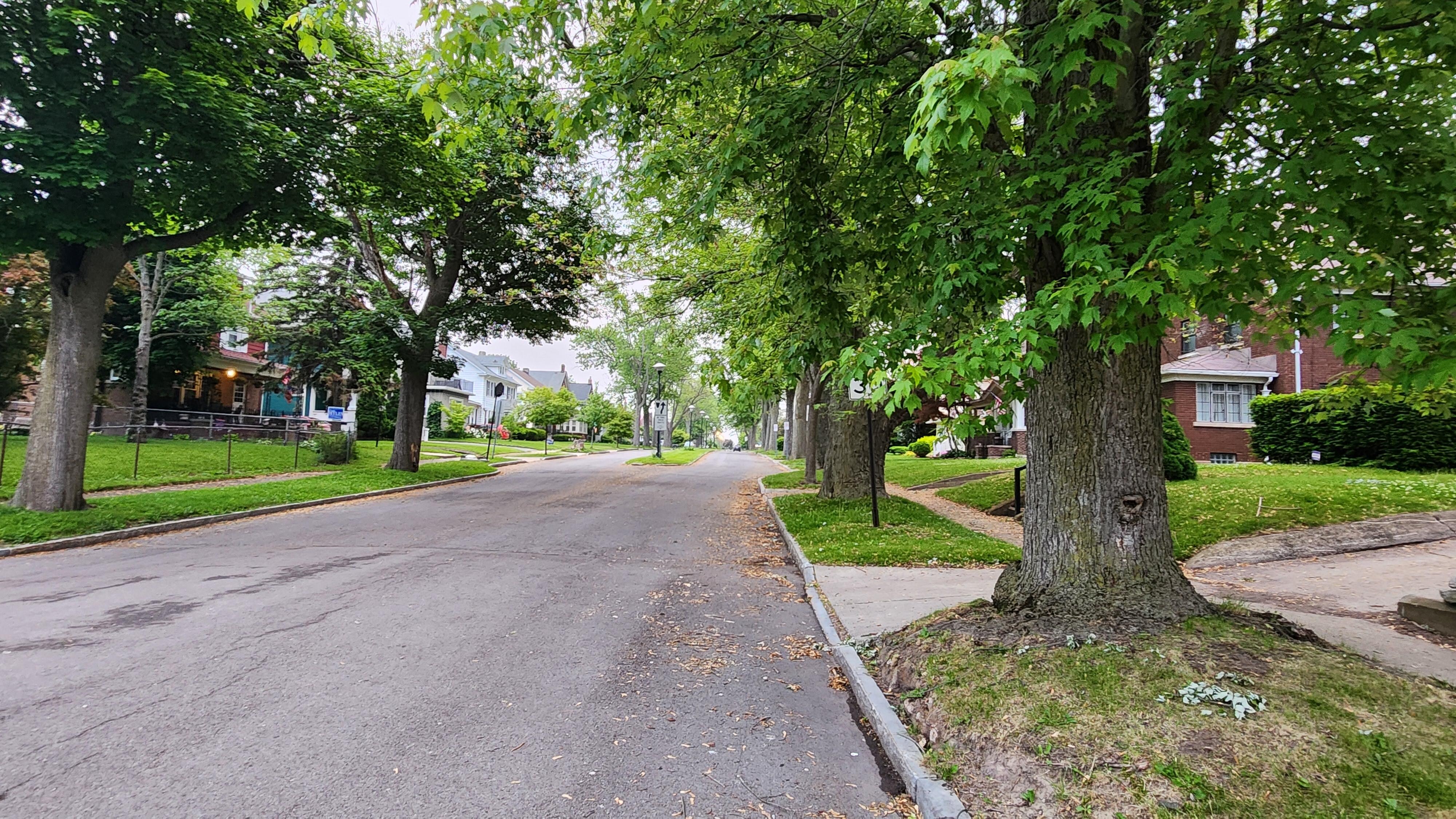 The street we were on