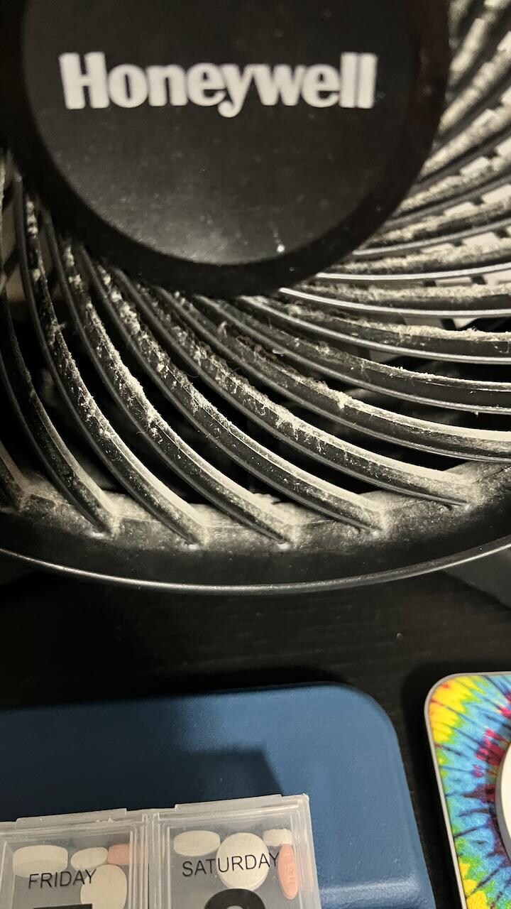 Dirty dusty fan in bedroom