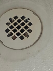 Shower drain