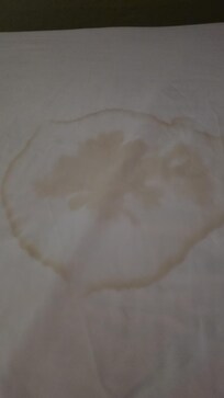 Bed sheets were not changed prior to check in and whatever this was soaked to the mattress pad and stained the upper blankets too