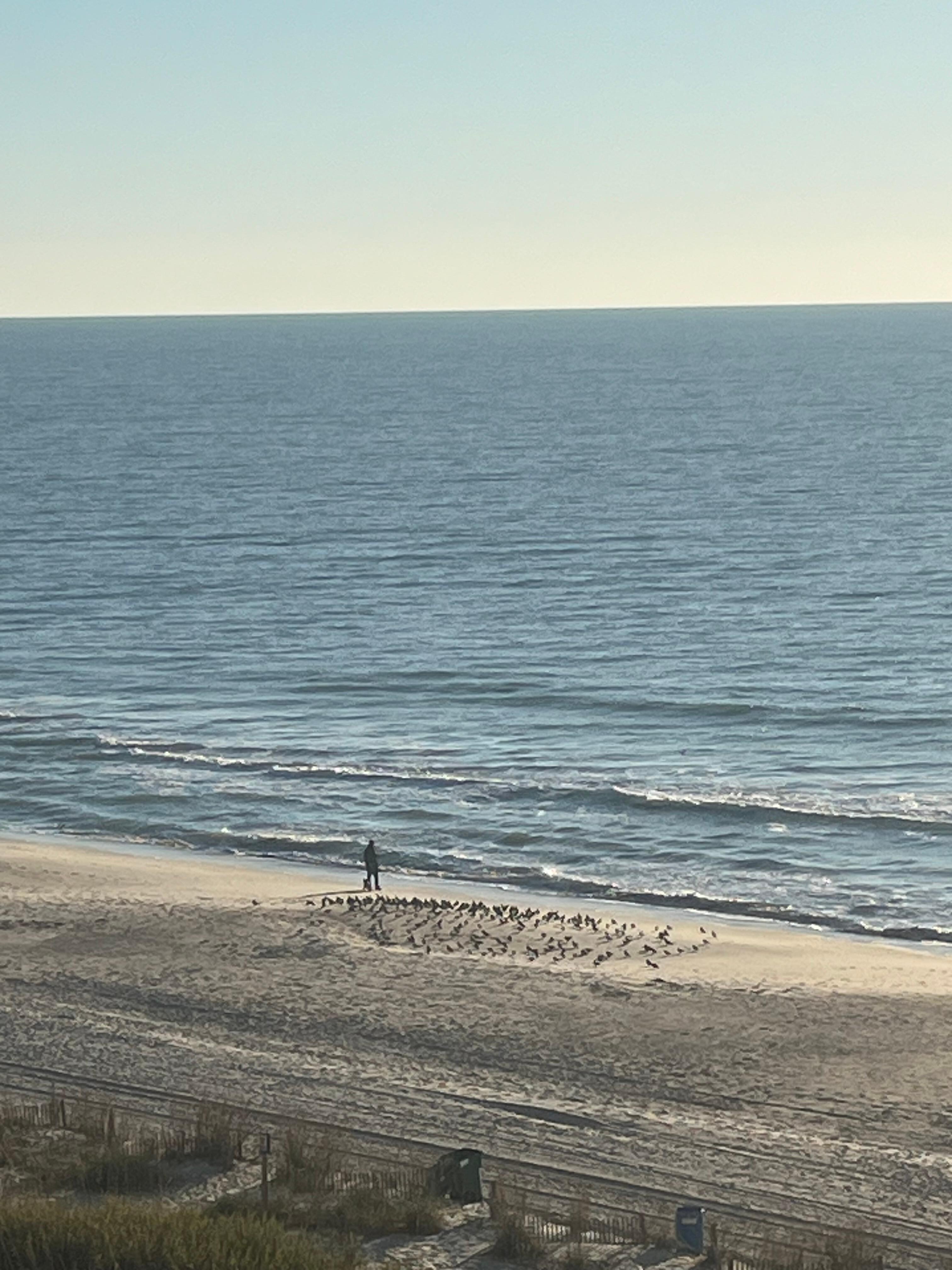 View from our room was nice!