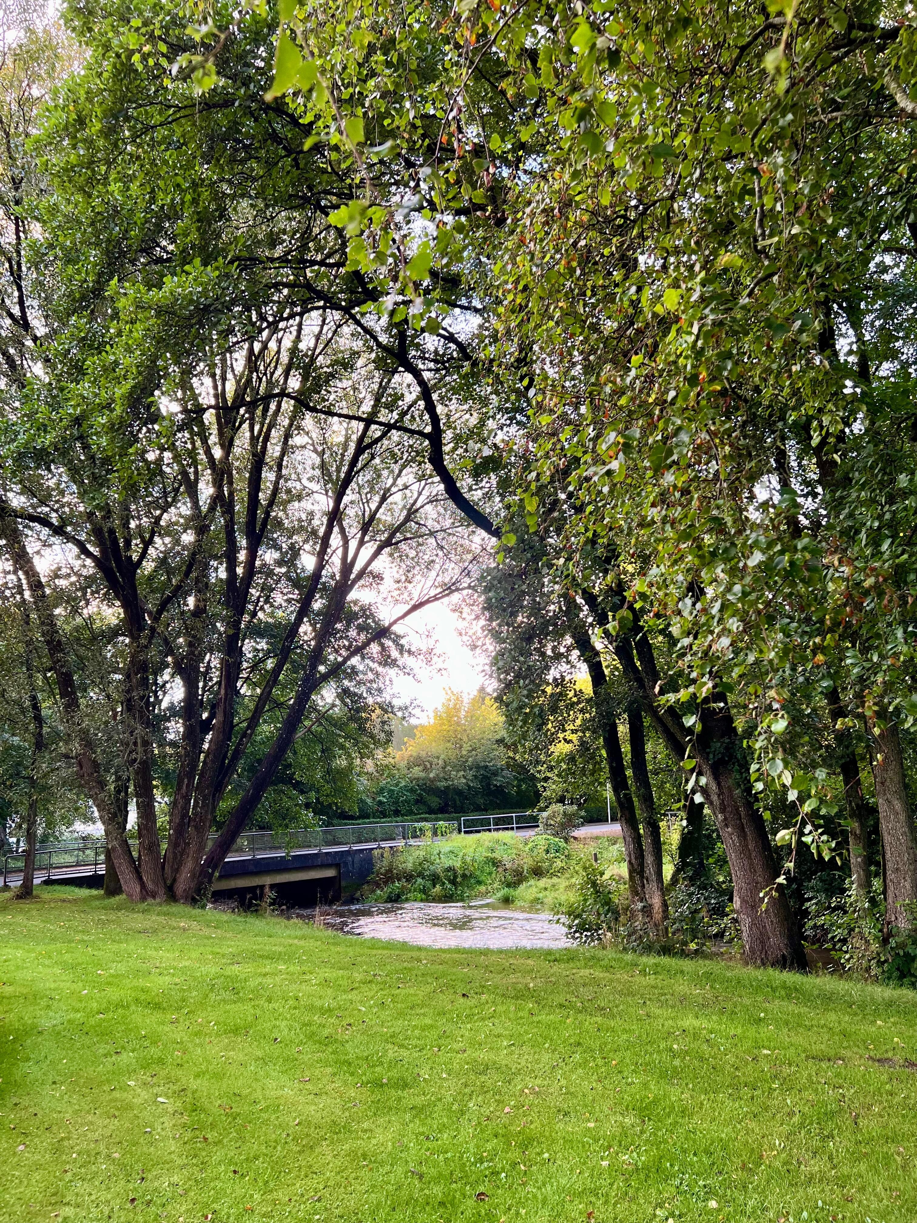 Fra førnævnte park ved siden af hytterne