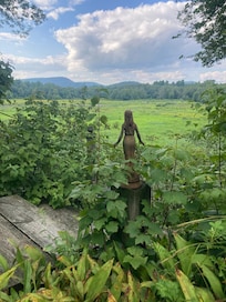 Magical views