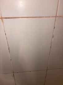 Mold in bathroom