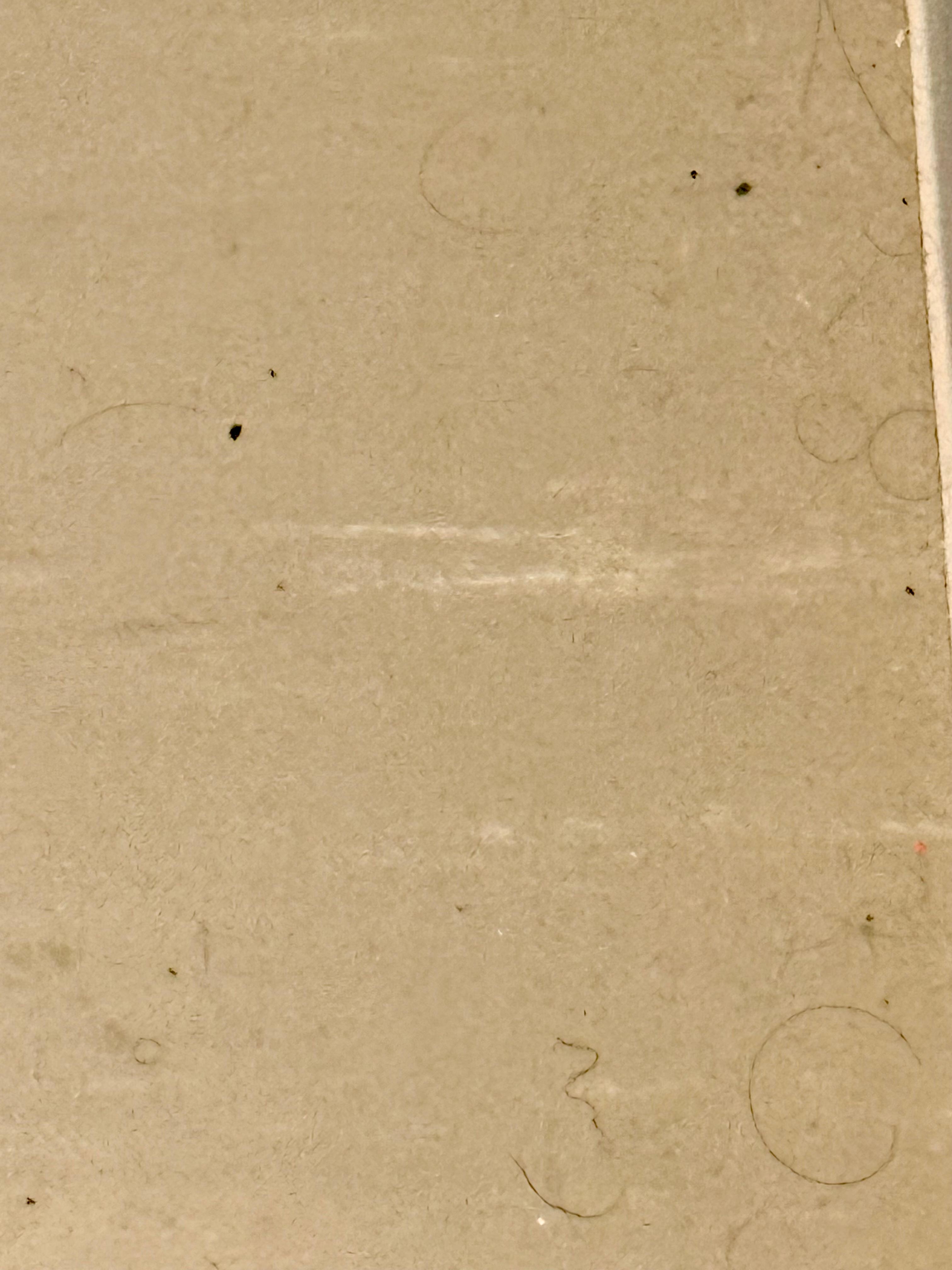 The photo says it all. The shower area was dirty, with hair all over the floor and a constantly wet, filthy mat. Basic hygiene standards were clearly not met.