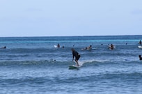 Surfing lesions at waikiki