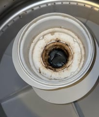 Mold in washer
