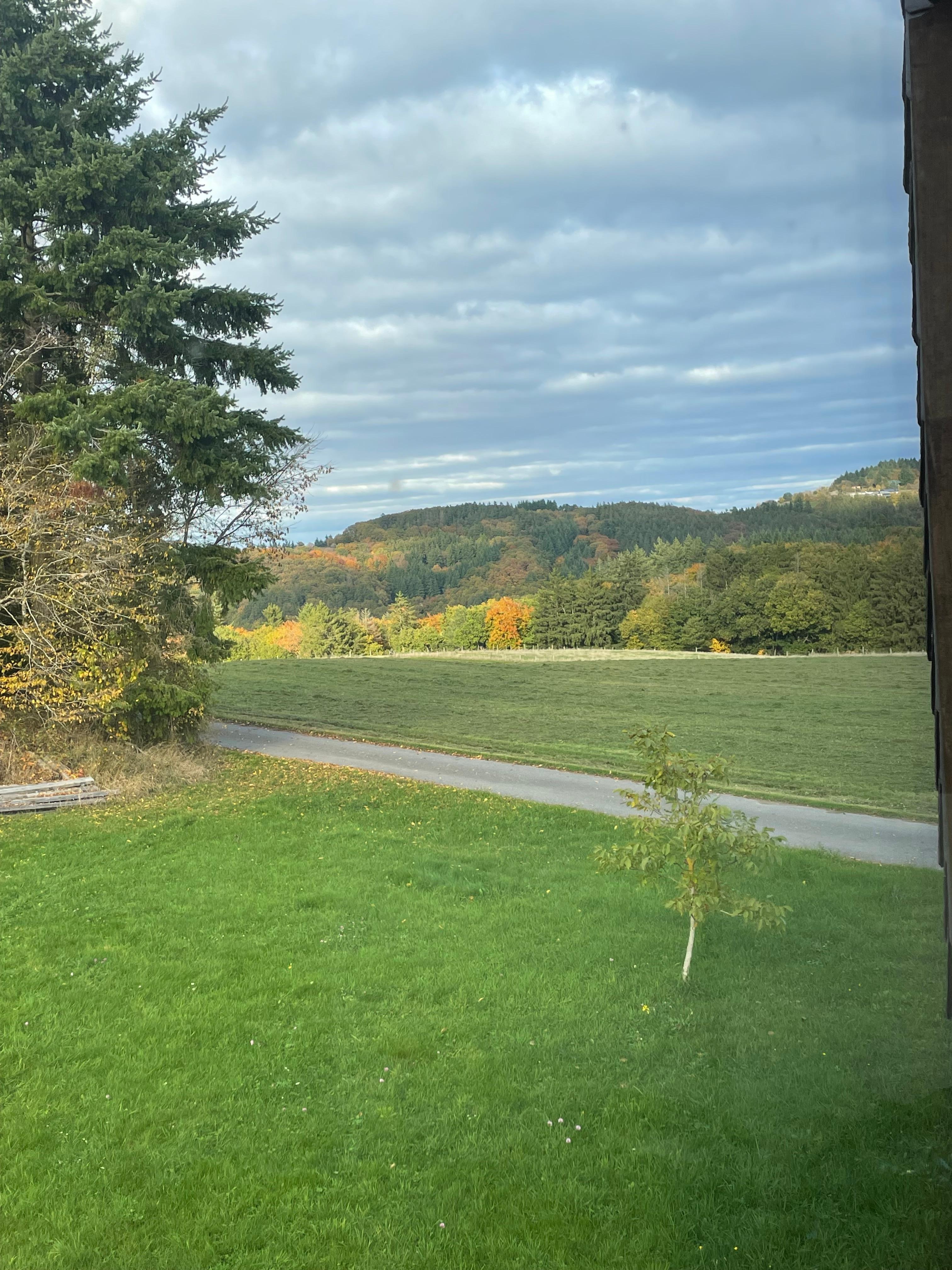 Sicht aus dem Haus heraus 