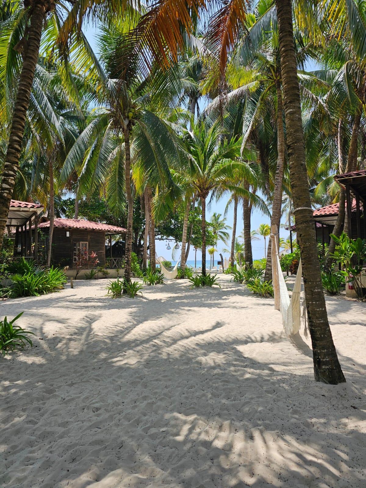 Vista del acceso a la playa desde el hotel