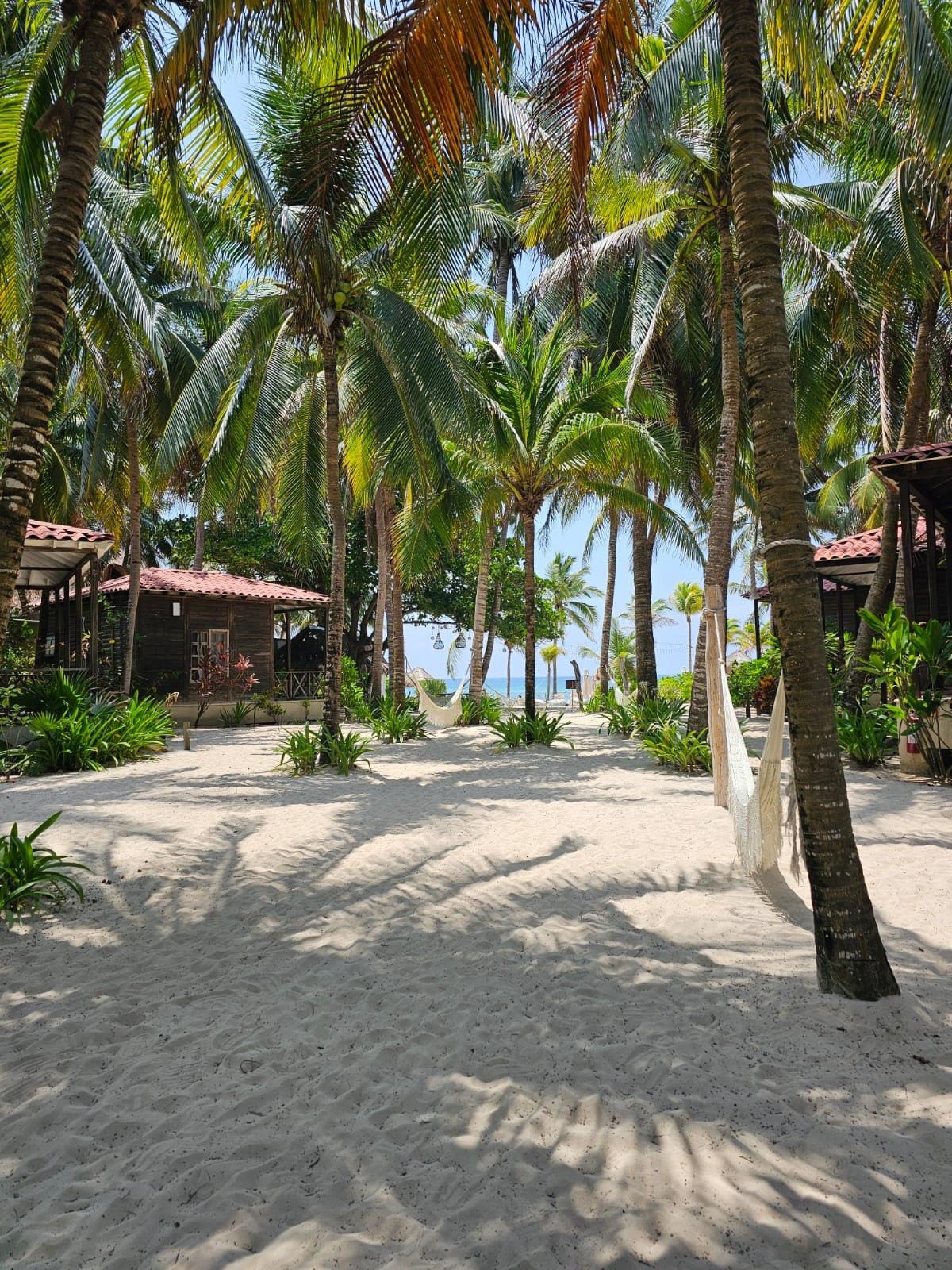 Vista del acceso a la playa desde el hotel