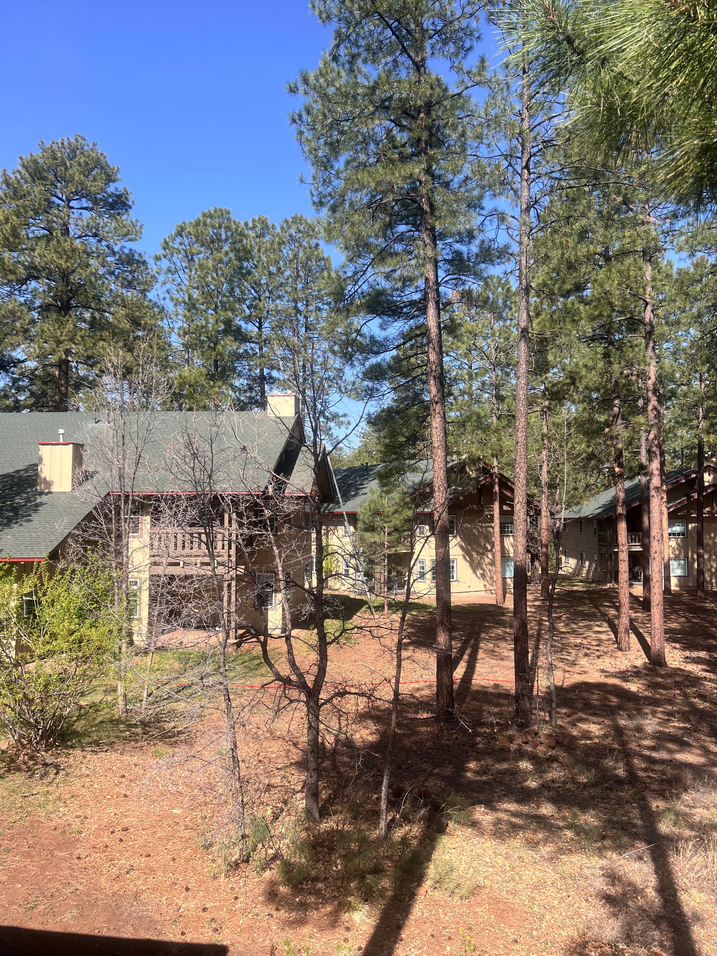 View from deck 