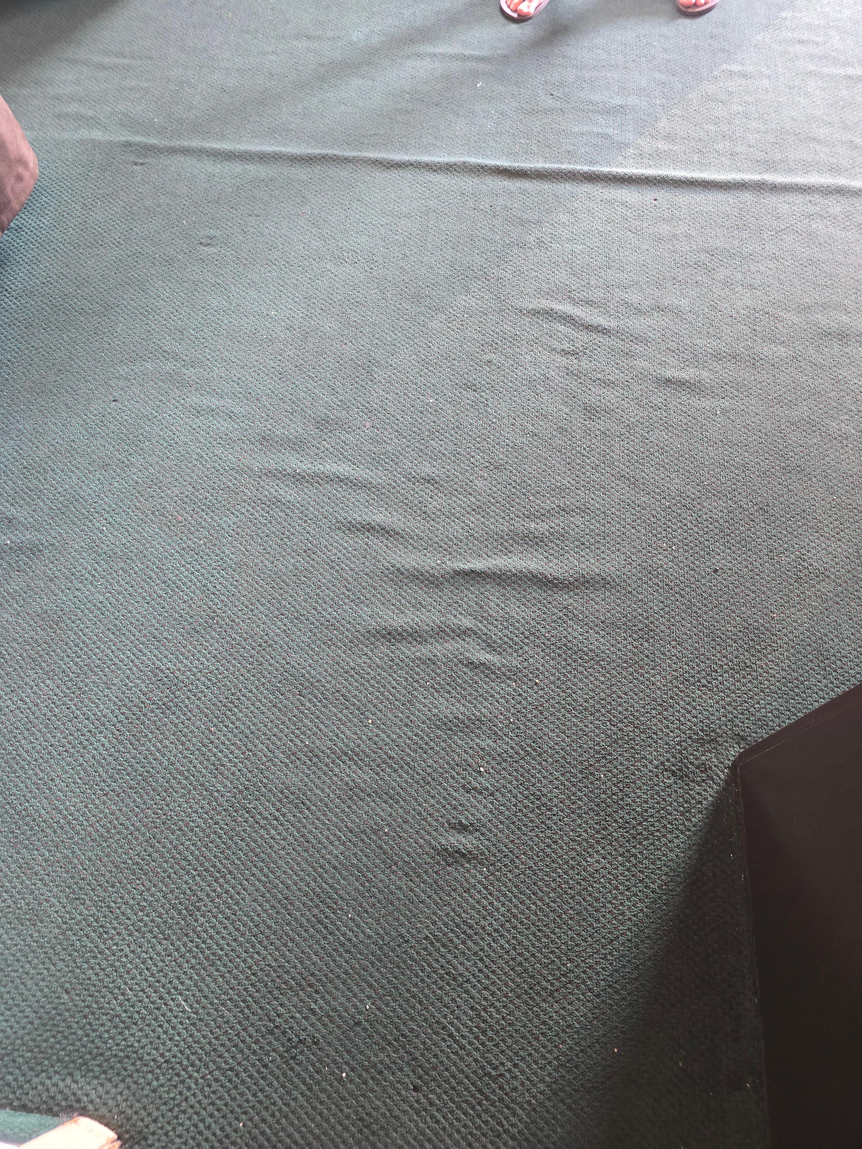 Carpet in the main room