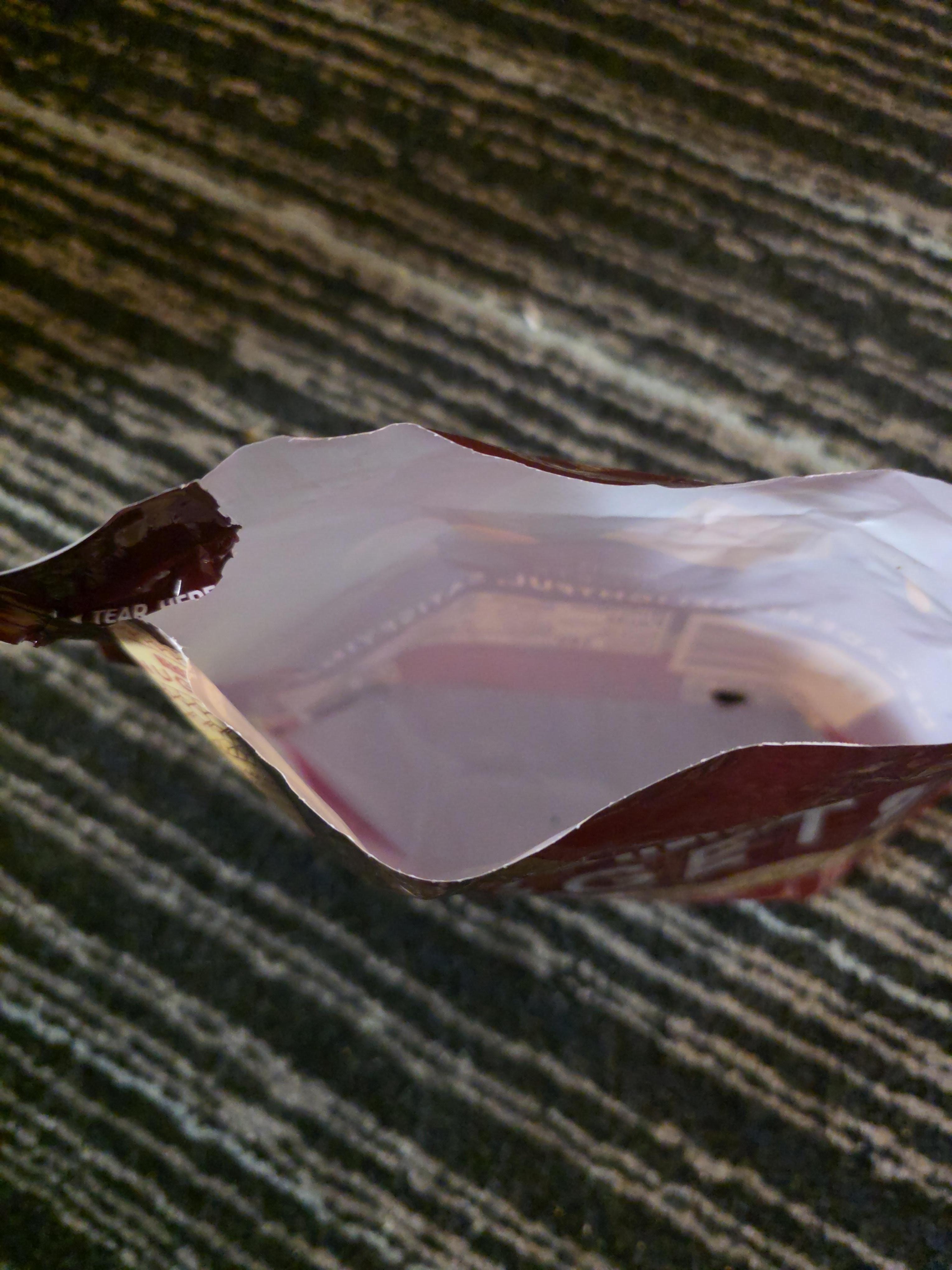 Roaches and ants were even able to get into the chocolate 