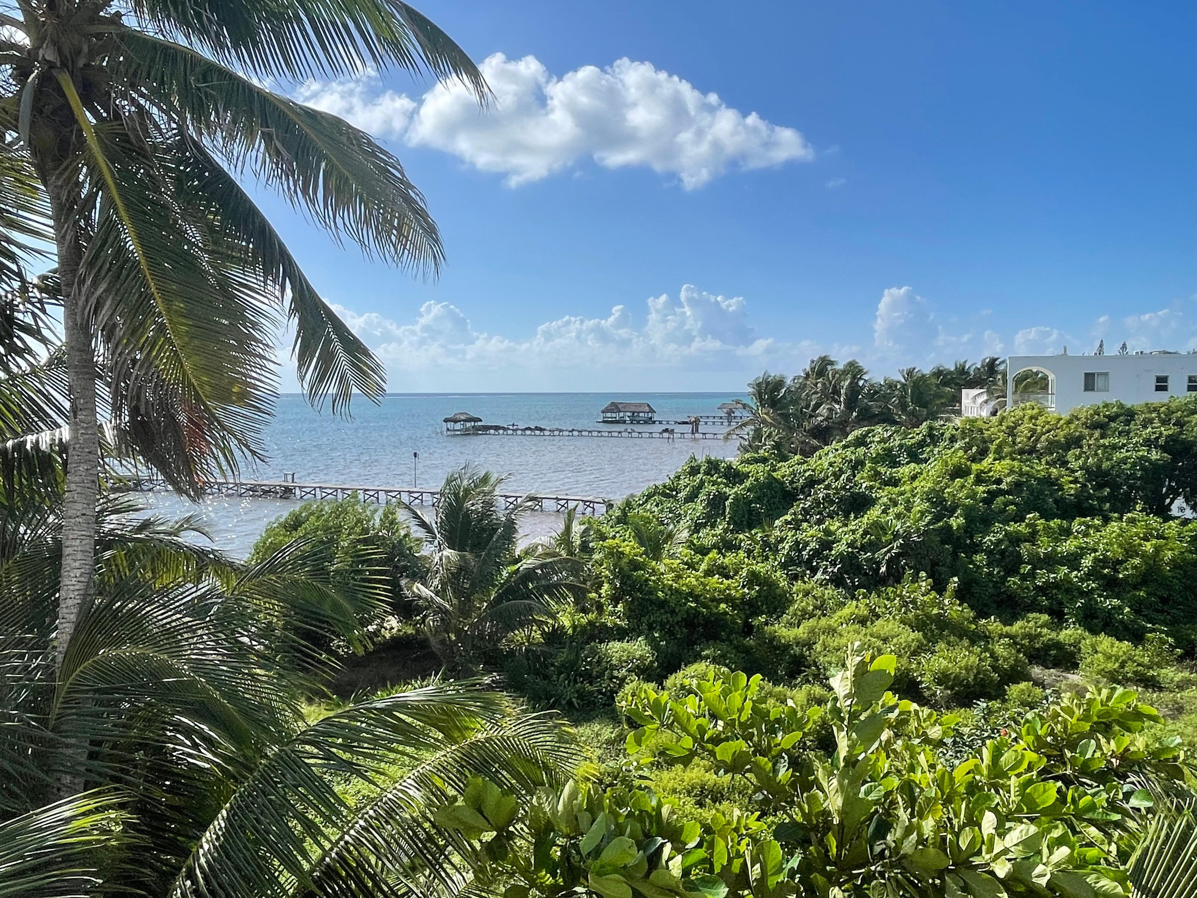 View from balcony of unit A3