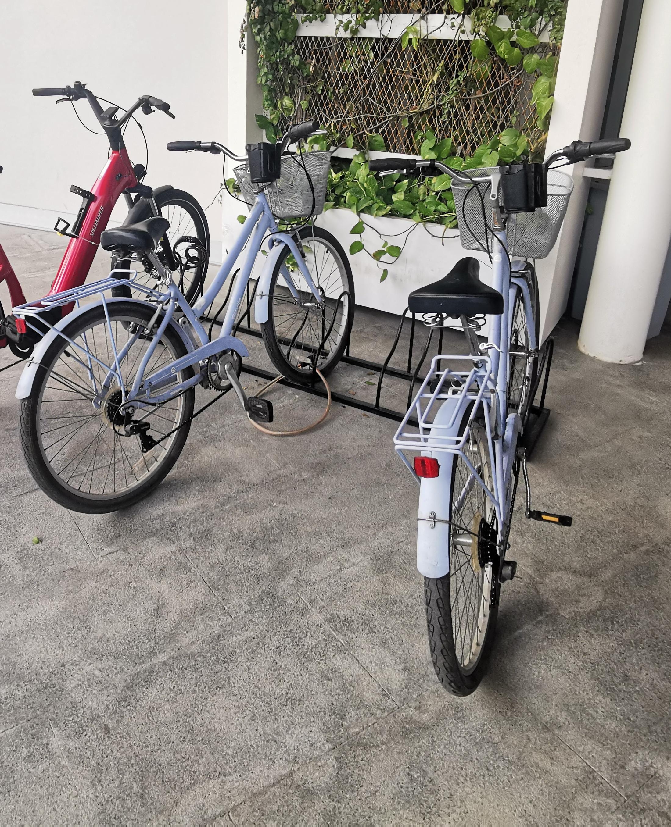 Bike rental 
