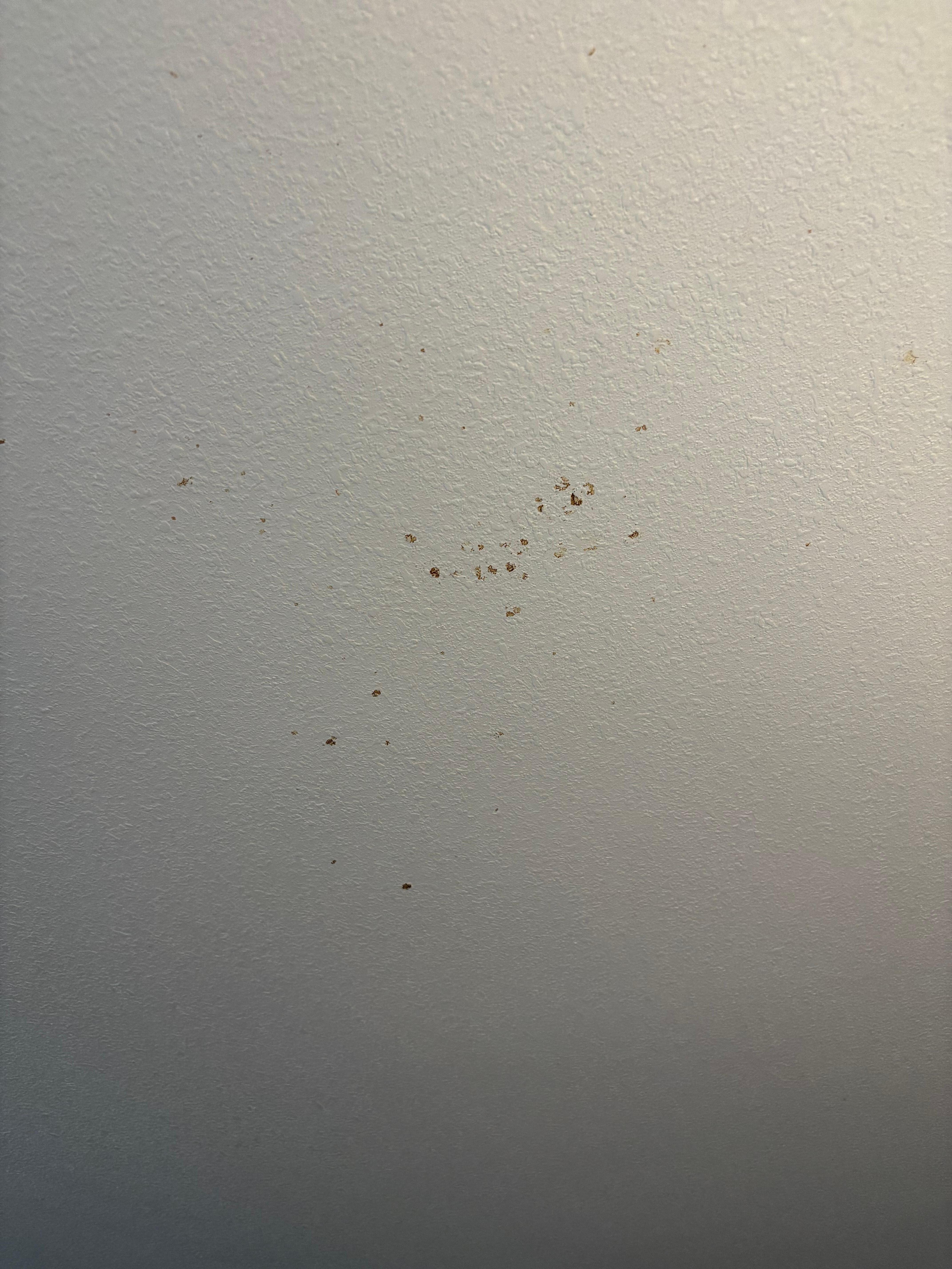Mystery spatter 