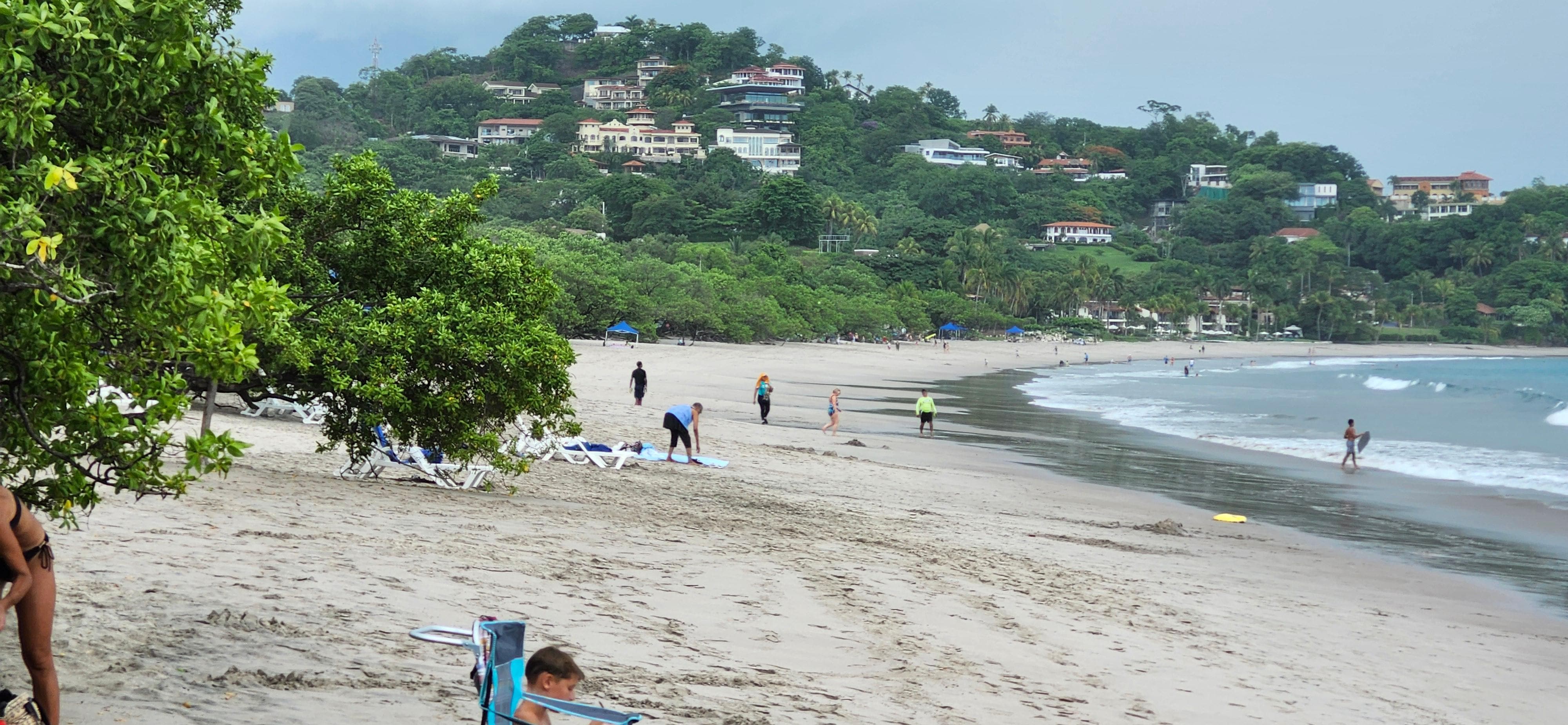 Tamarindo 