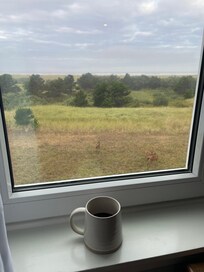 Morning coffee in the living room of the condo.