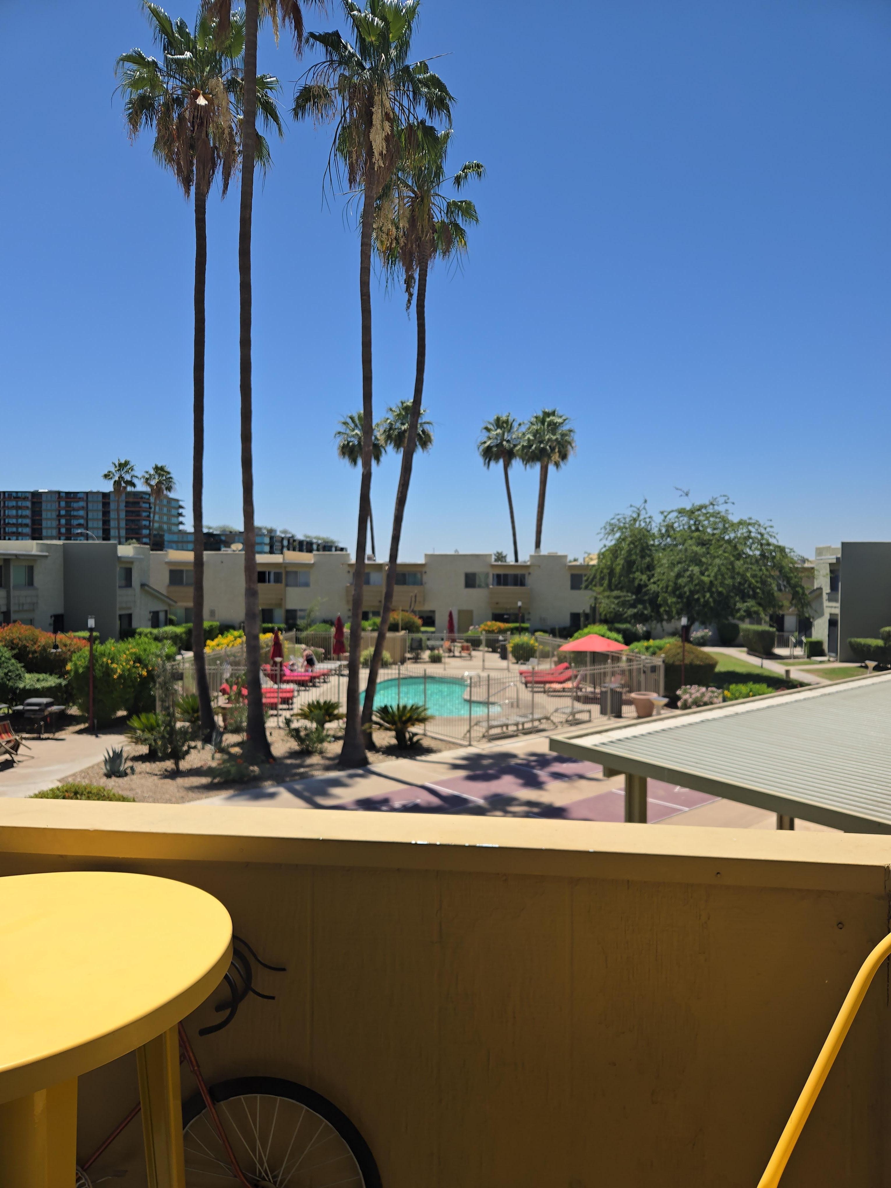 View from the patio