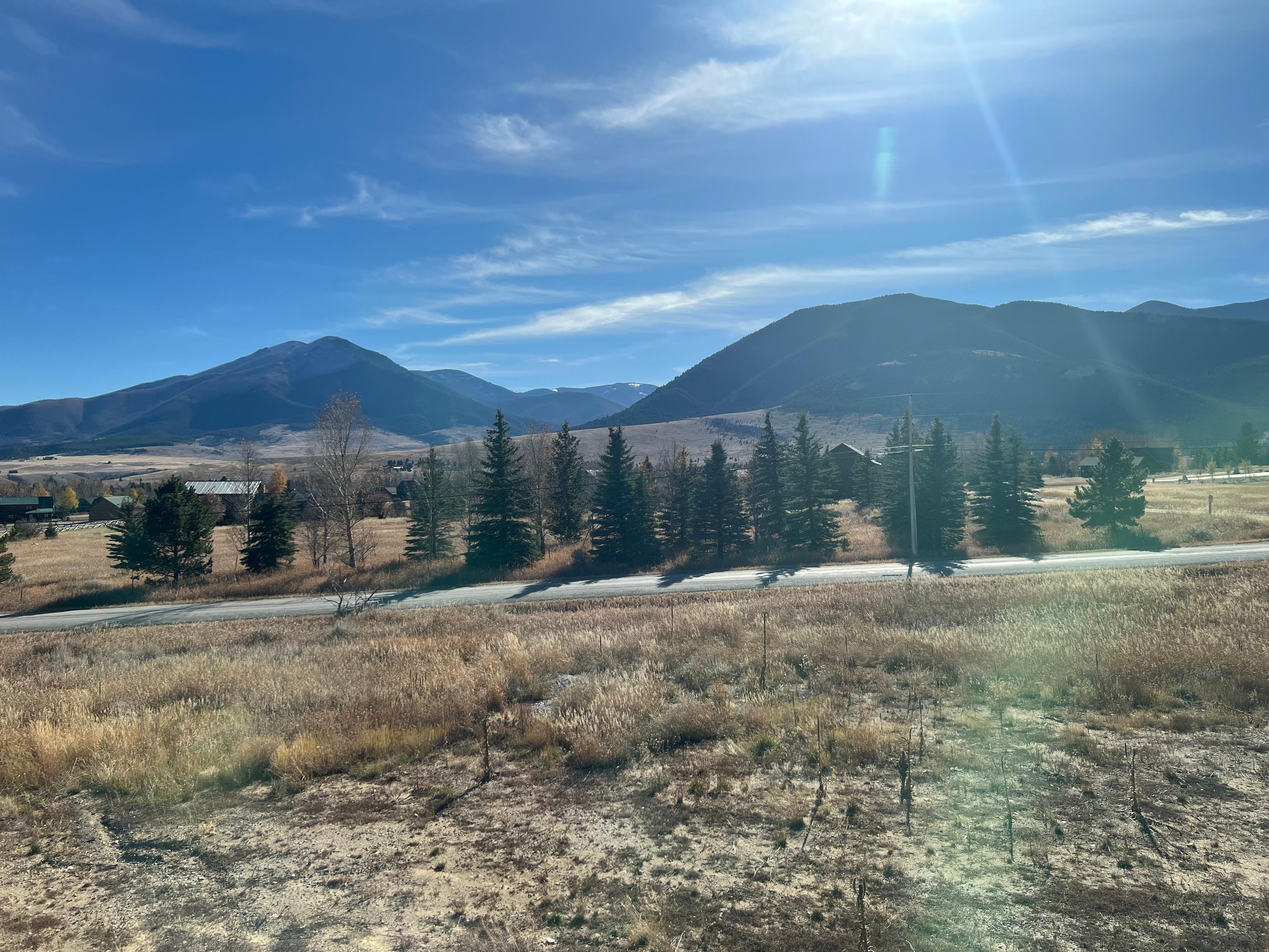 Views out the living room windows. 