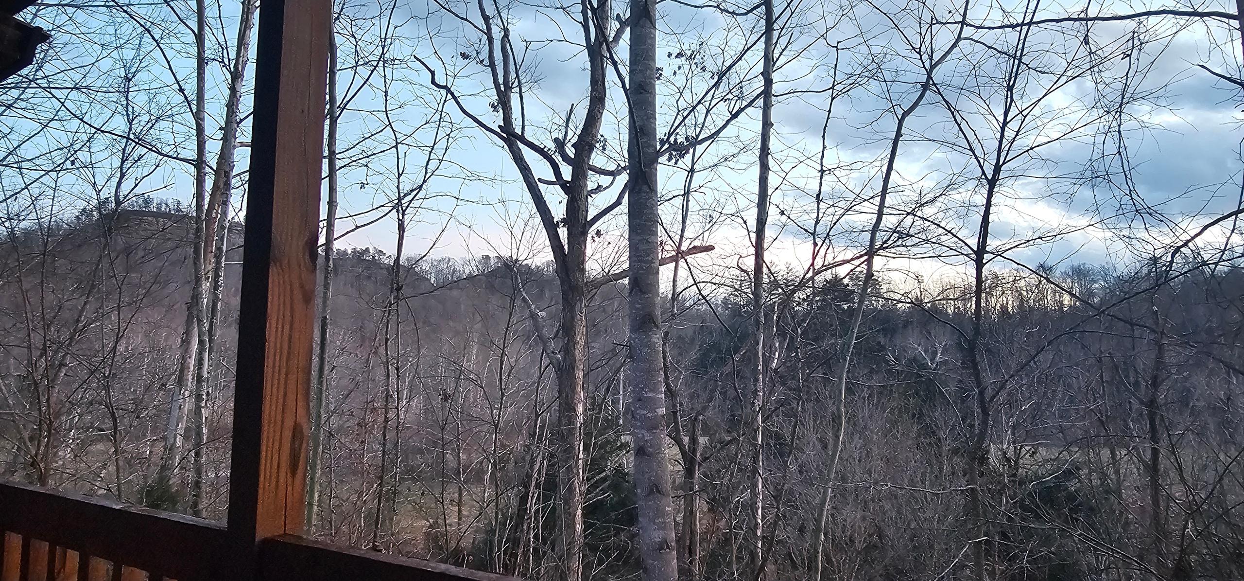 View from back deck.