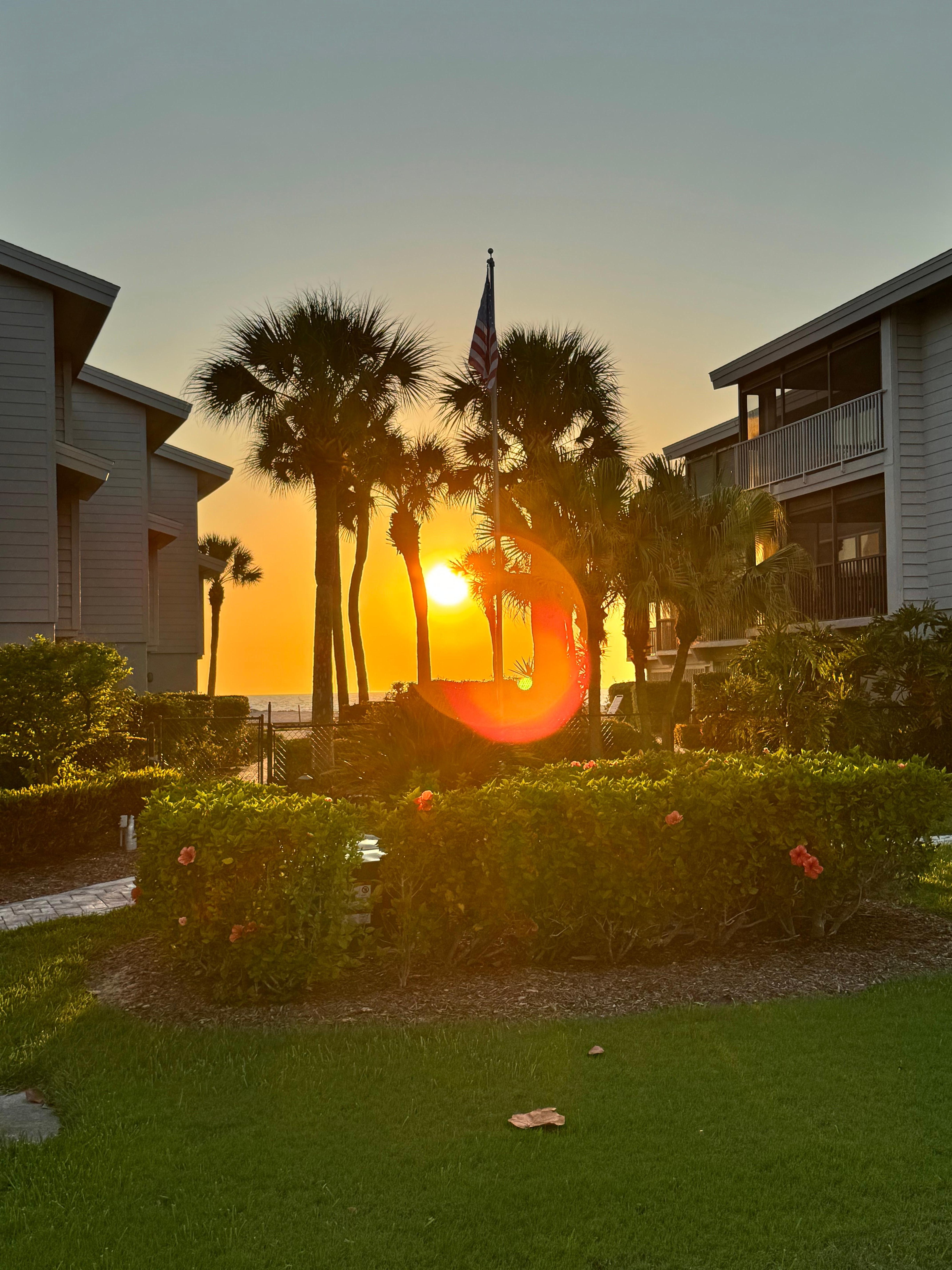 Sunset on an evening walk.