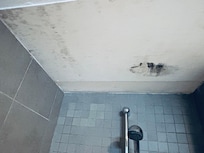 Mold on ceilings