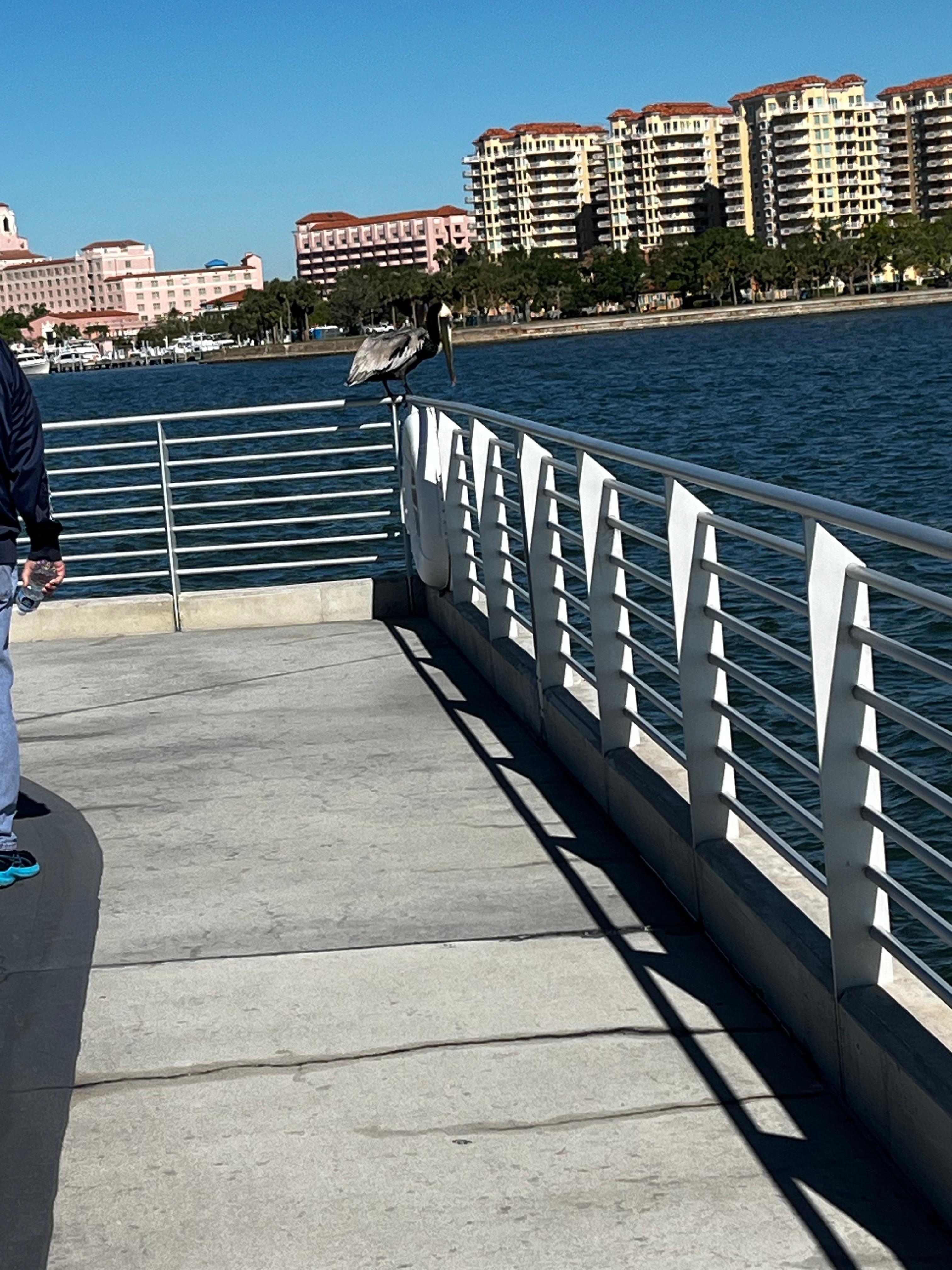 The pier was busy and had restaurants and activities for families. 