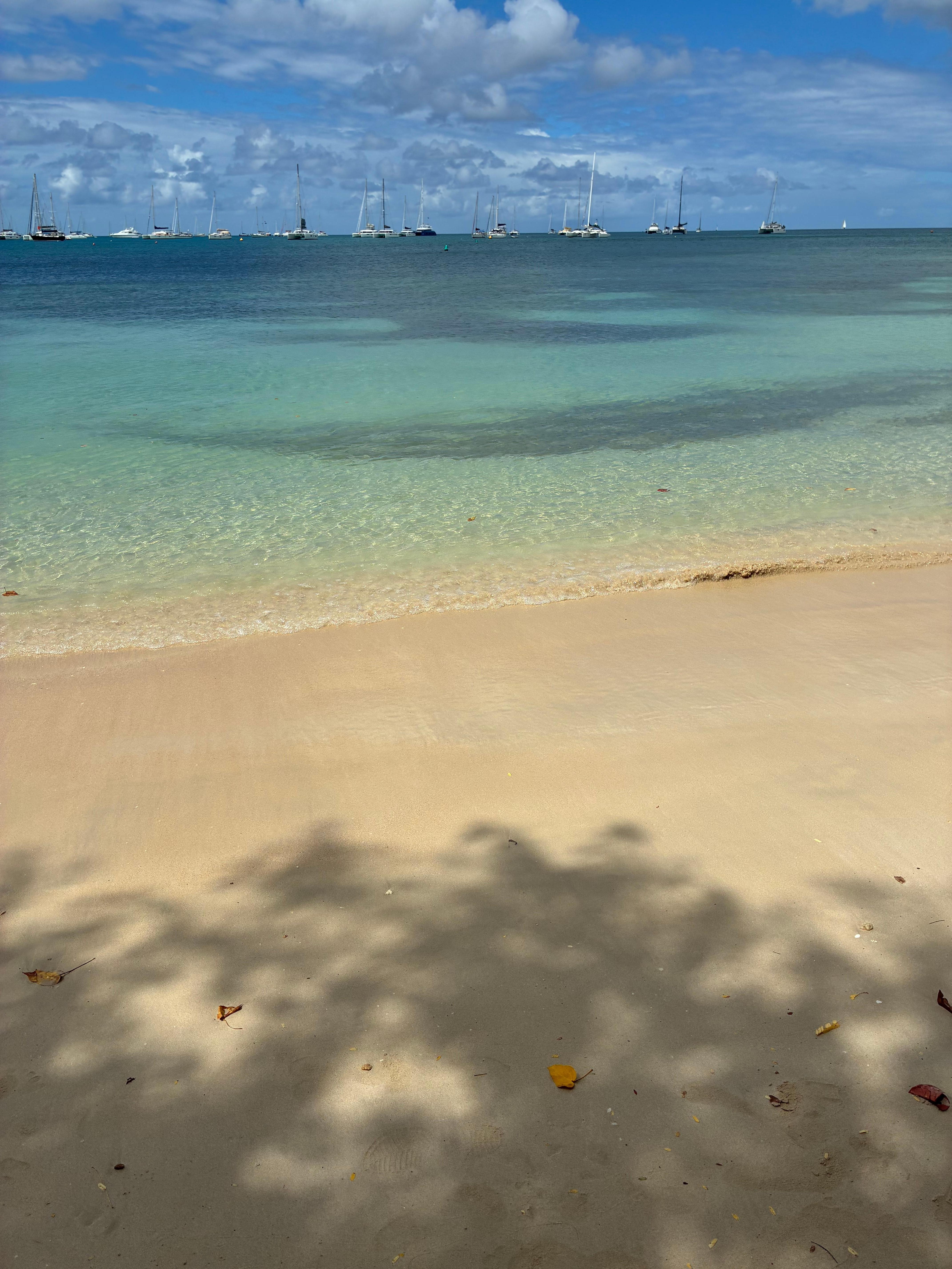 Voici la plage à 5 minutes, de l’ombre disponible sous les palmiers