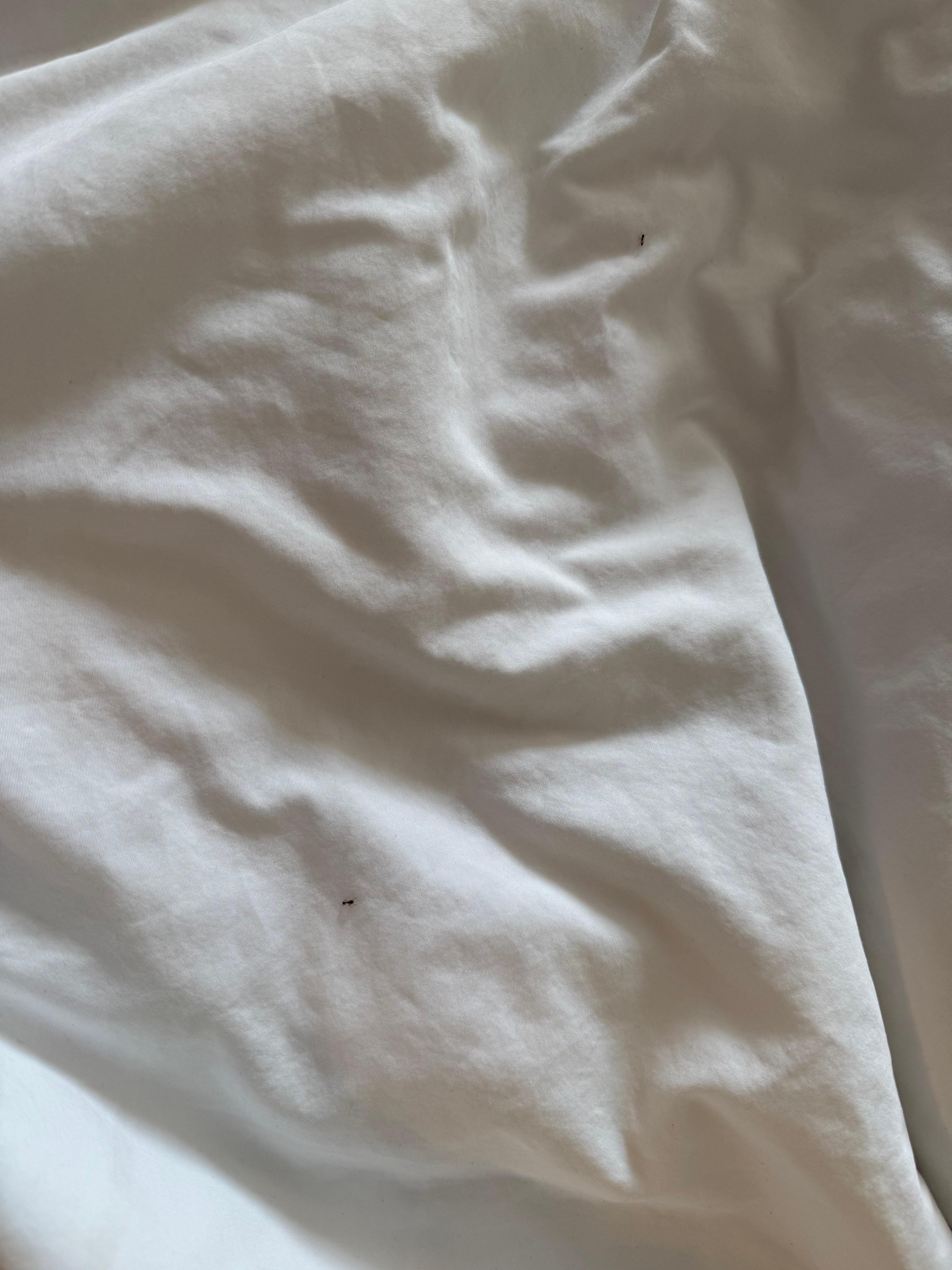 Our room had ants on the bed