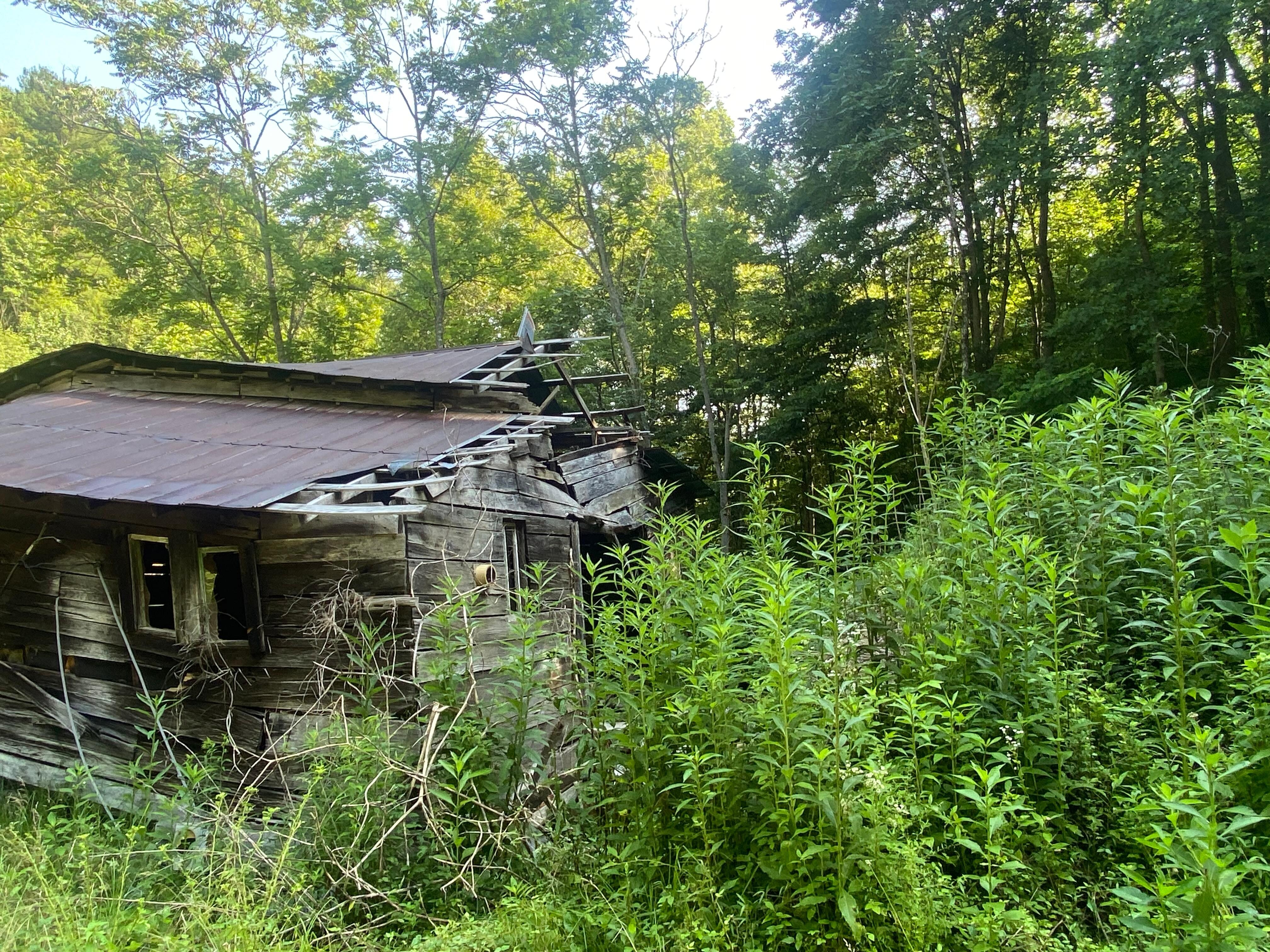 The barn view from road