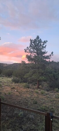 View back yard