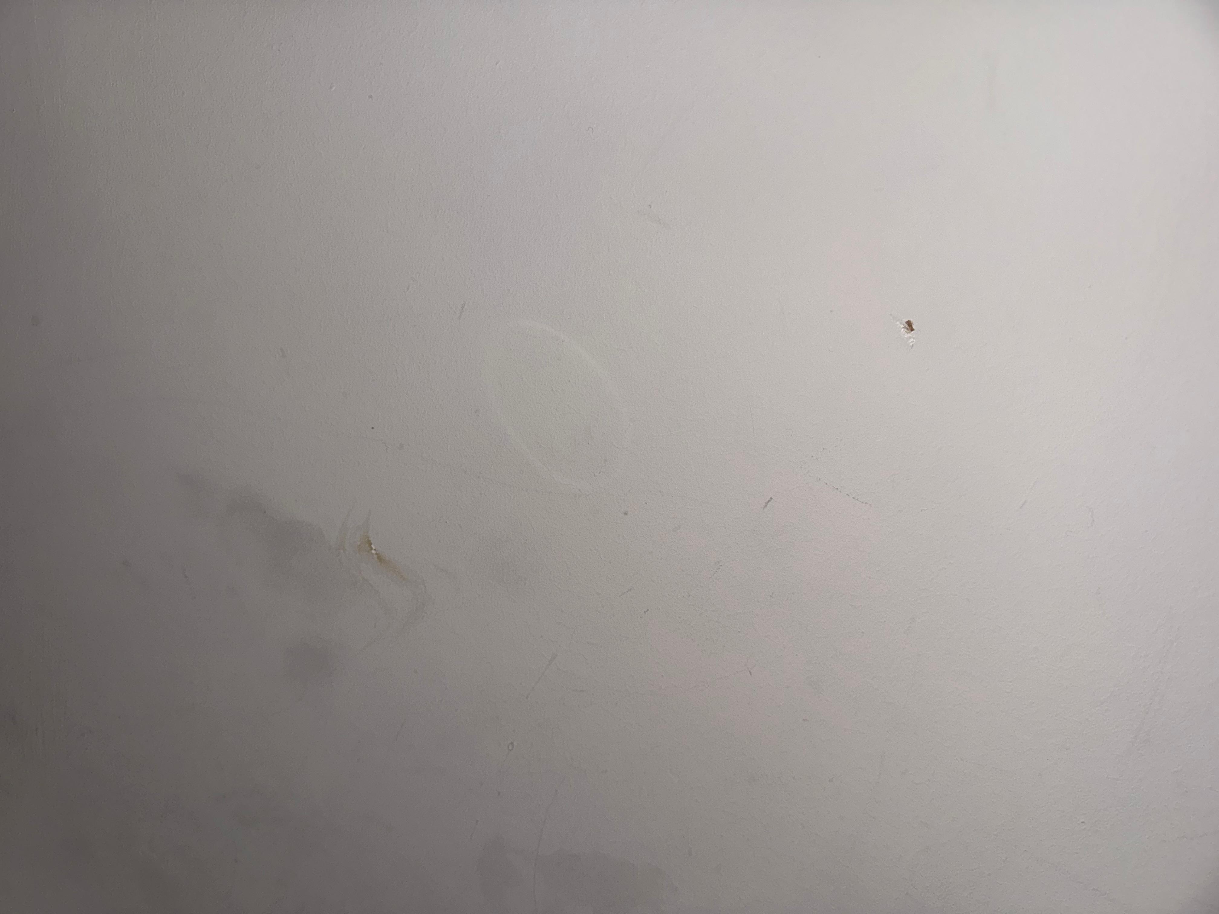 Maalesef bu sümülkler ve pislikler yatağın dibinde 