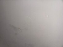 Maalesef bu sümülkler ve pislikler yatağın dibinde