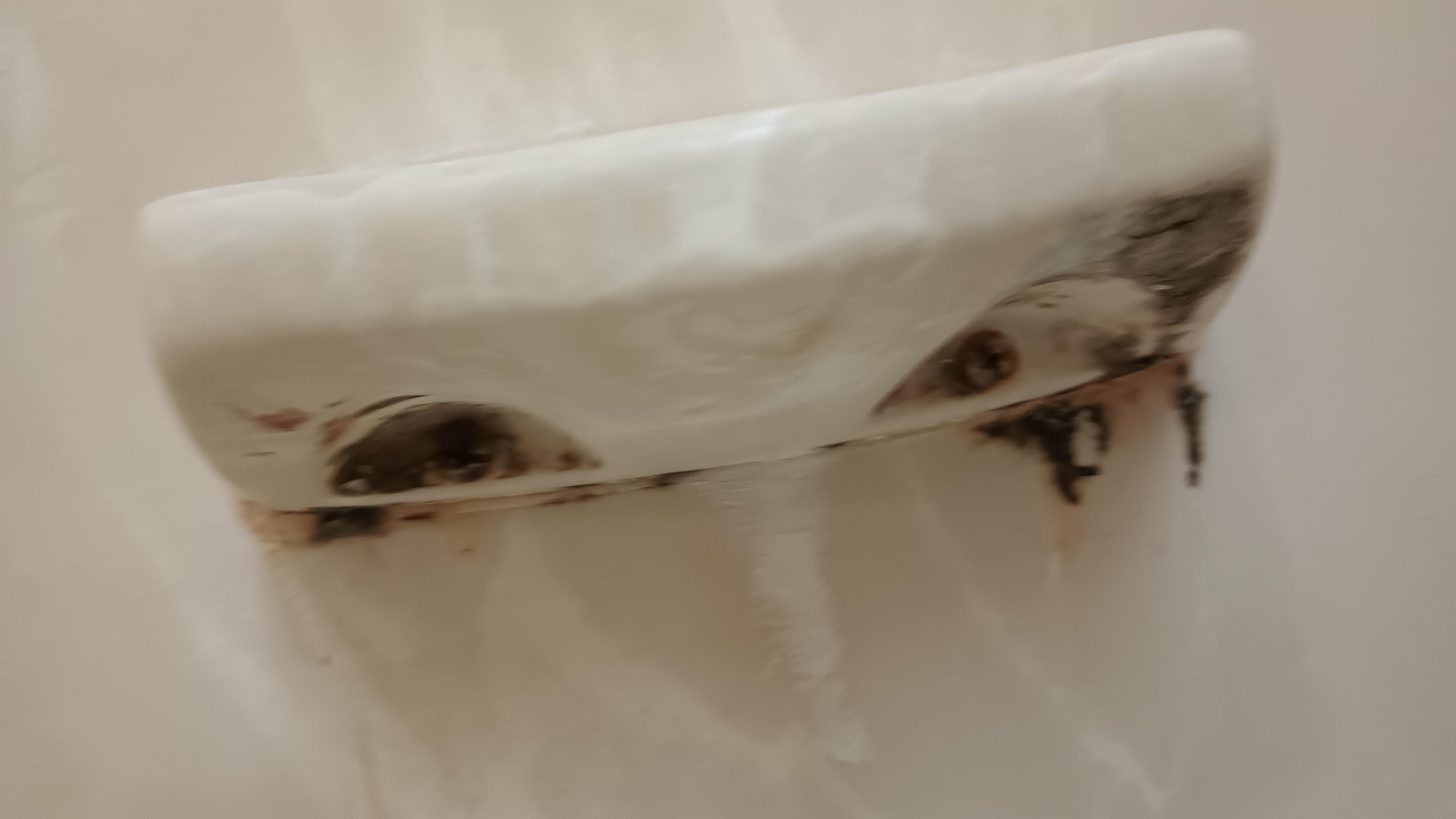 This was the bathtub soap dish. Had roaches