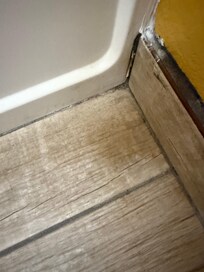 Mold in corner
