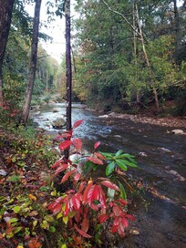 Another beautiful Fall picture of the river.