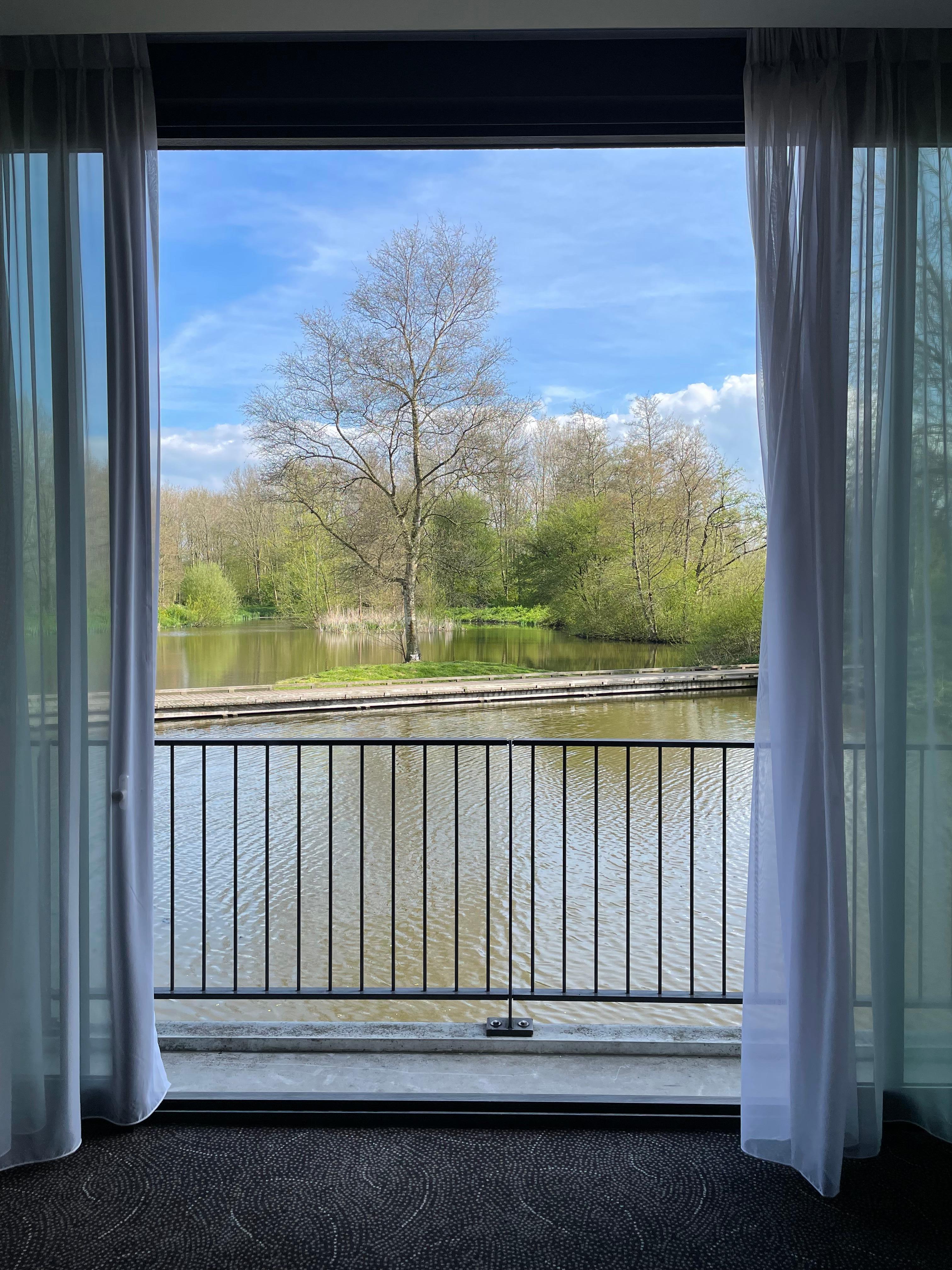 Room with a view