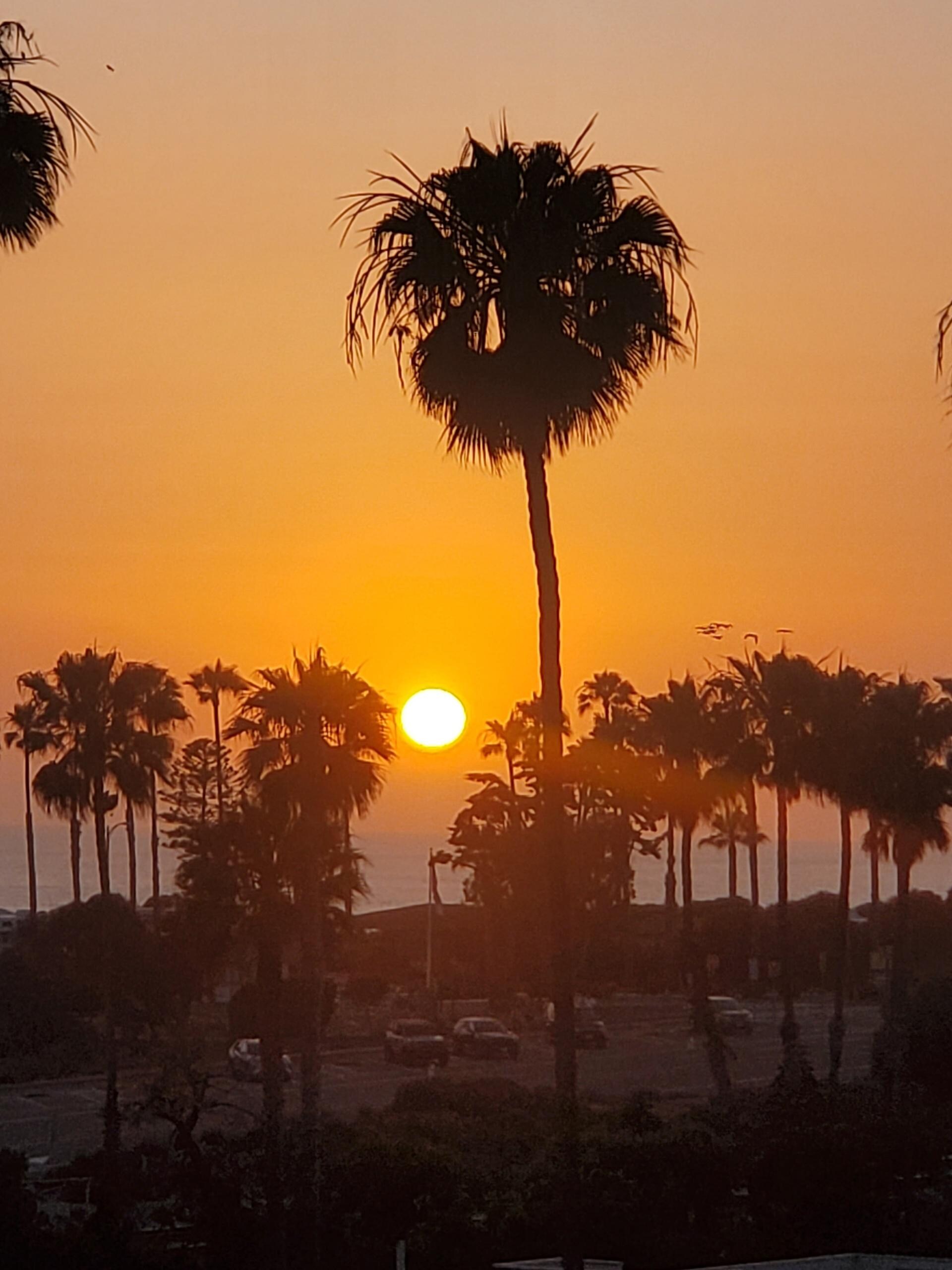 Rooftop sunset 