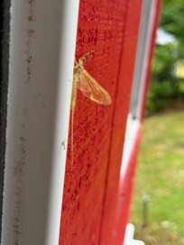 The hatch was in full effect